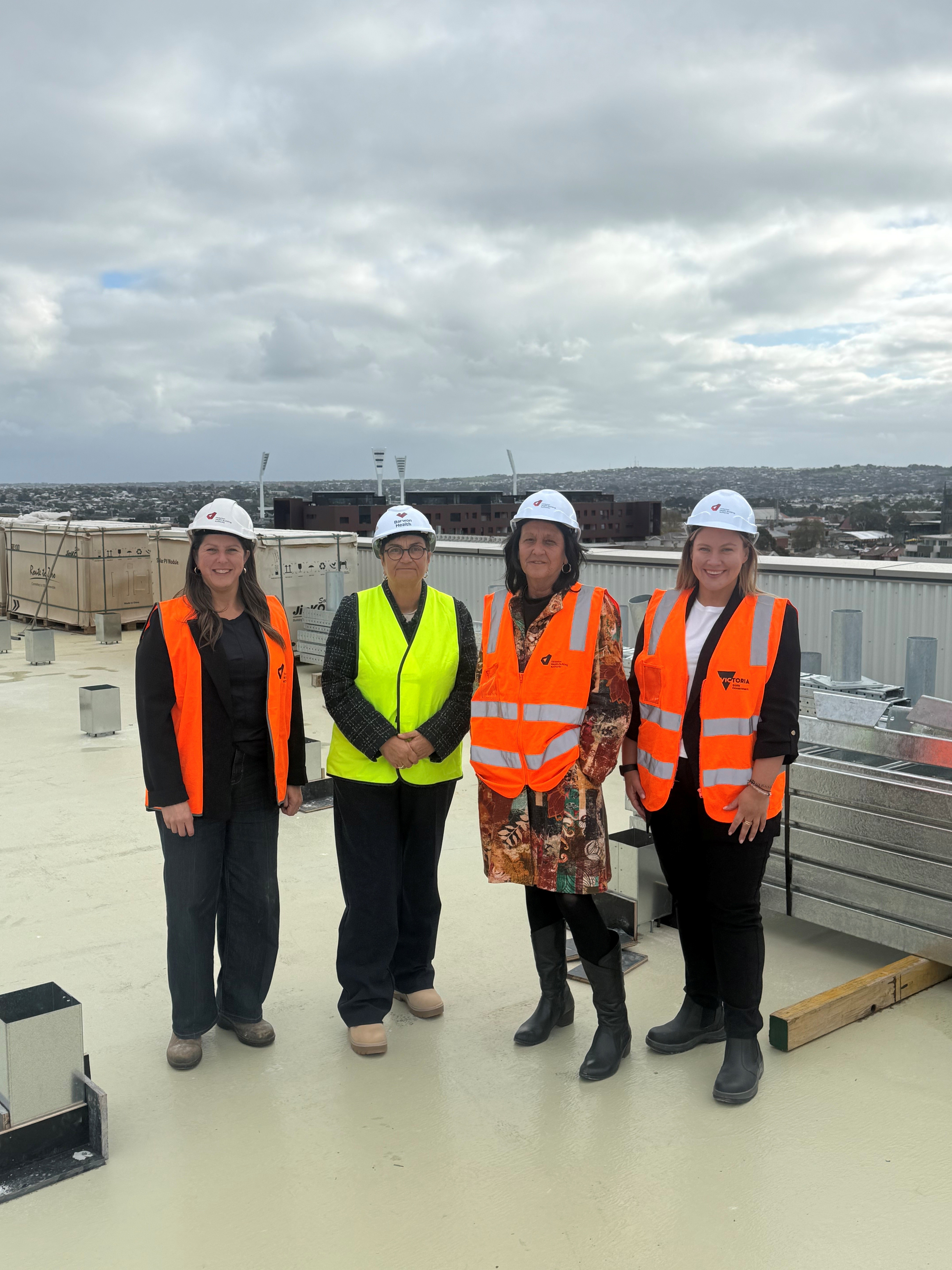 Barwon Women's and Children's Taking Shape Main Image
